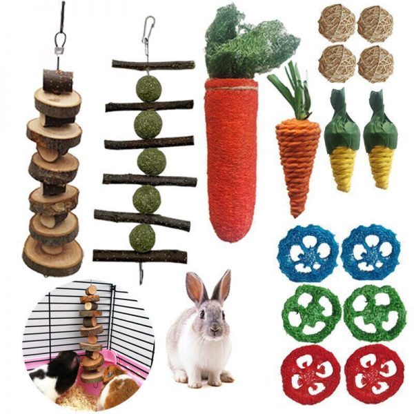 16Pcs Rabbit Chew Toys Set For Small Animal Teeth Care And Exercise Natural Wood