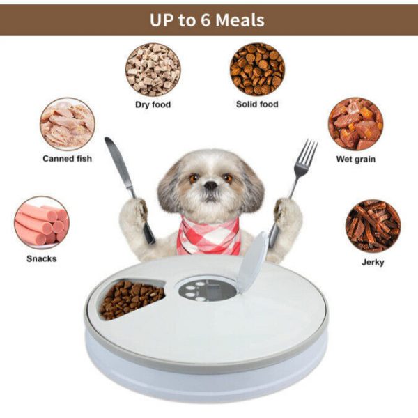 Automatic Pet Feeder 6 Day Meal Automatic Food Dispenser Timed Food Bowl Music